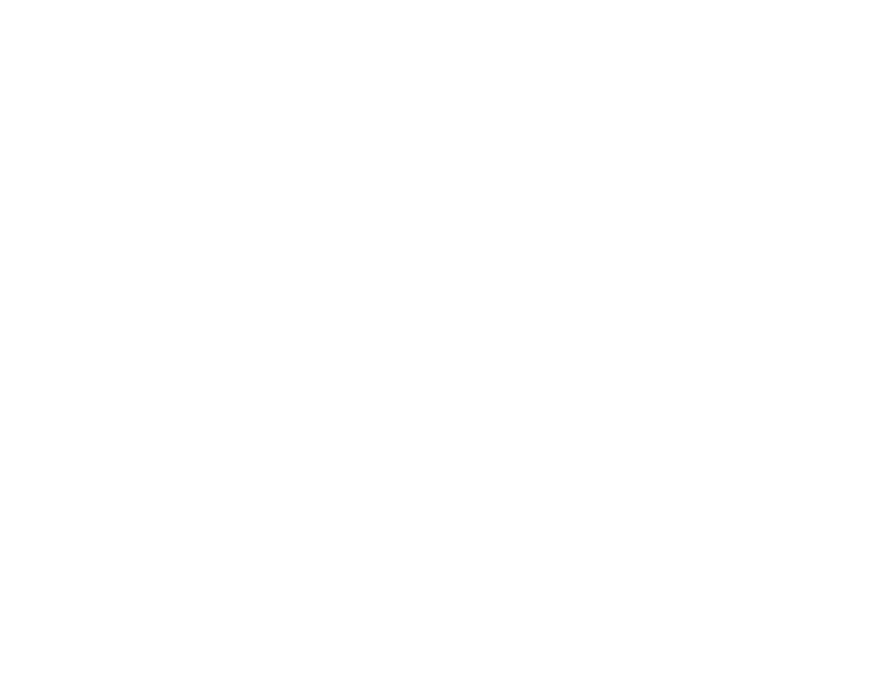 dl-logo.png