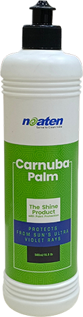 Carnauba Palm