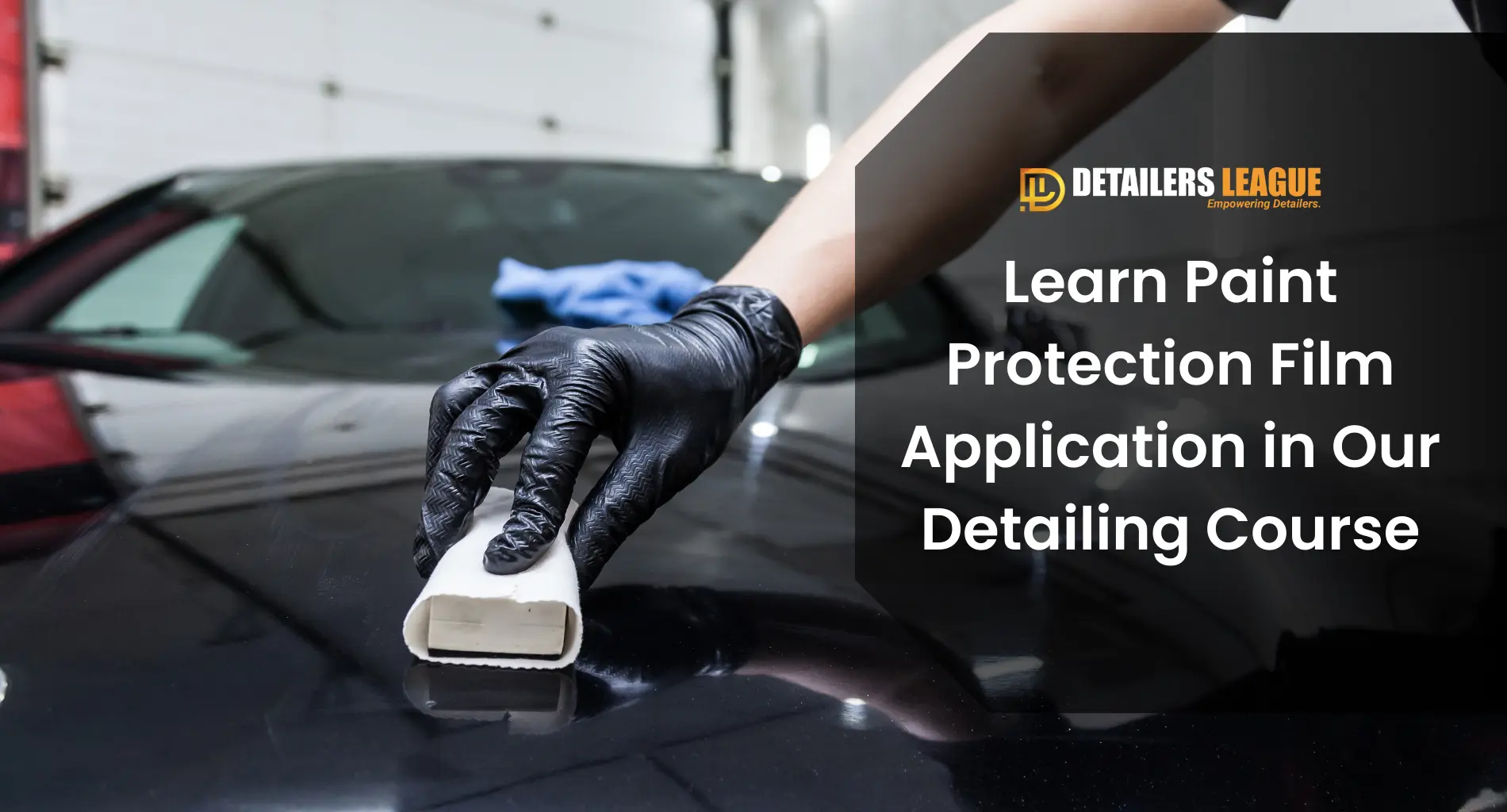 learn-paint-protection-film-application-in-our-detailing-course